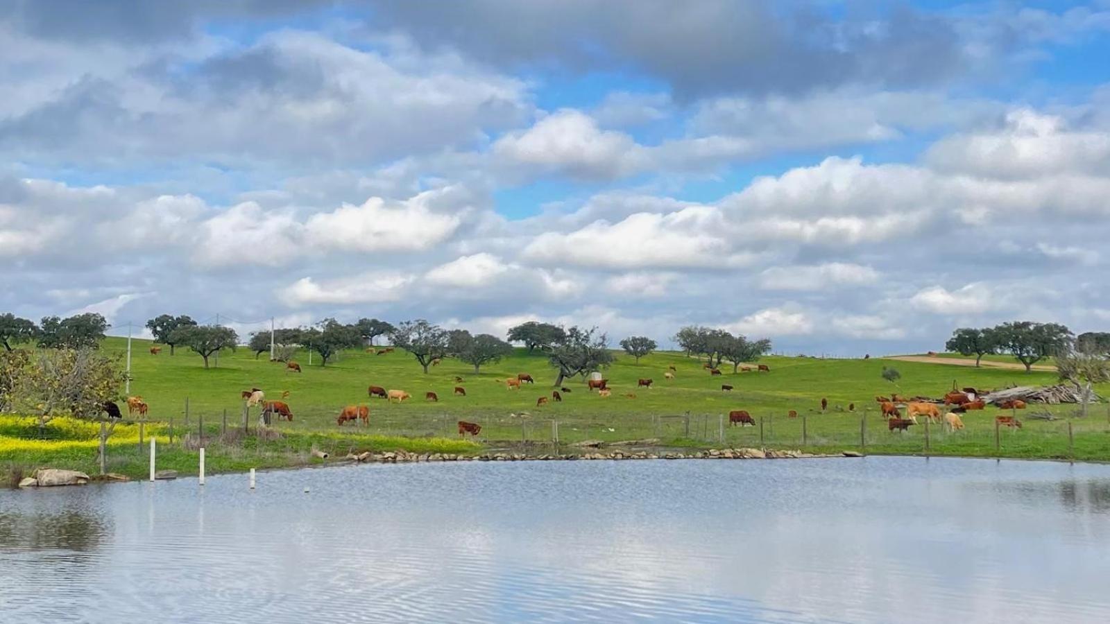 Agro-Turismo Monte da Galega Minas de São Domingos Exterior foto